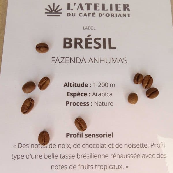 CAFE BIO BRESIL-Drôles de Baudco-Baud