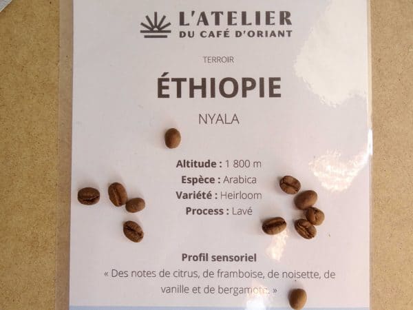 CAFE BIO ETHIOPIE-Drôles de Baudco-Baud