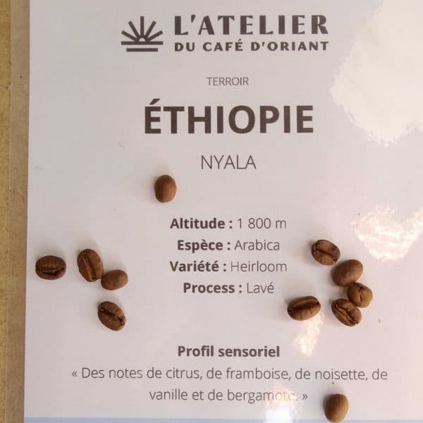 CAFE BIO ETHIOPIE-Drôles de Baudco-Baud