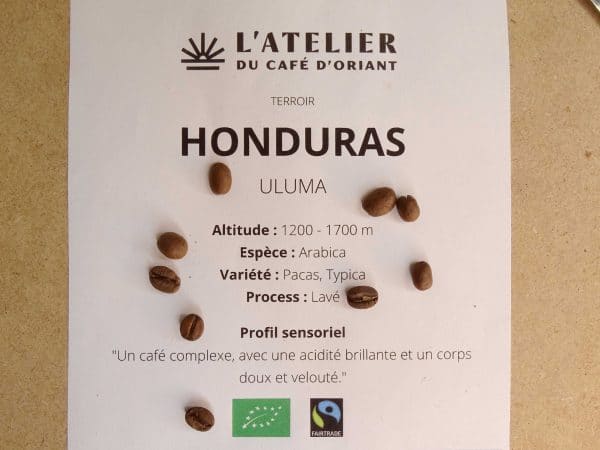 CAFE BIO HONDURAS-Drôles de Baudco-Baud